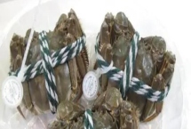 姜堰籪蟹是哪里的特產(chǎn)，是泰州市姜堰區(qū)特產(chǎn)