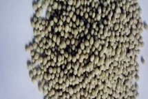 復(fù)合肥料的施用方法，應(yīng)注意選擇合適的濃度