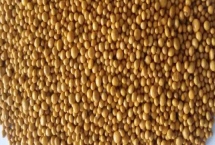 緩釋肥料的優(yōu)點，可以控制養(yǎng)分釋放速度