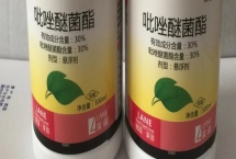 吡唑醚菌酯可以和哪些農藥復配，可與代森聯(lián)、苯醚甲環(huán)唑、丙森鋅等復配