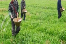 水溶肥的價(jià)格，實(shí)際售價(jià)因地而異