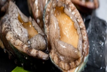 鮑魚的產(chǎn)地，在我國主產(chǎn)于大連、膠東等地方