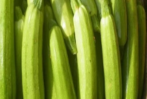 如何避免西葫蘆落花落果，溫度、光照都需要控制好