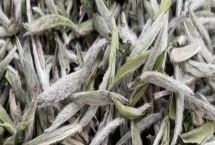白茶的產(chǎn)地，不同品種的產(chǎn)地不一