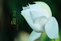掛蛋是哪個(gè)節(jié)氣的習(xí)俗，是立夏的傳統(tǒng)習(xí)俗