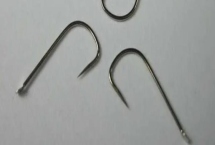 2號(hào)袖鉤可以釣多大的鯽魚(yú)，適合釣1兩至2兩的鯽魚(yú)