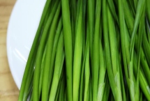 韭菜為何不分蘗，種植密度過大會縮減分蘗空間