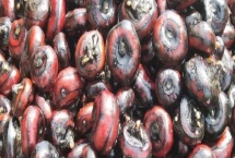 江西省瑞金市的特產(chǎn)，肉圓魚丸別有風(fēng)味