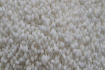 安徽省鳳臺縣的特產(chǎn)，朱馬店糯米屬于米中上品