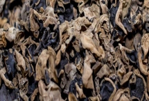 扎蘭屯市的特產(chǎn)，沙果遠(yuǎn)近聞名