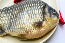 預(yù)防鯽魚出血病的方法，需定期清淤曬塘、富含蛋白的飼料要減少使用