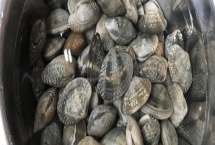 已經(jīng)死亡的花甲能否食用，花甲死亡后會(huì)滋生細(xì)菌不宜食用