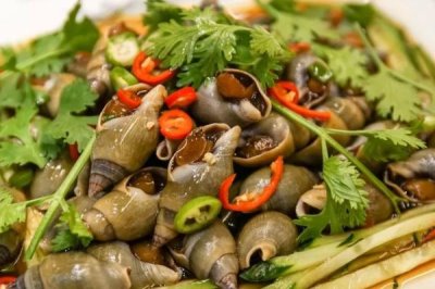 翡翠螺的產(chǎn)地，主產(chǎn)于大西洋西部海域