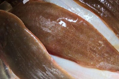 踏板魚是龍利魚嗎，二者是同一種魚