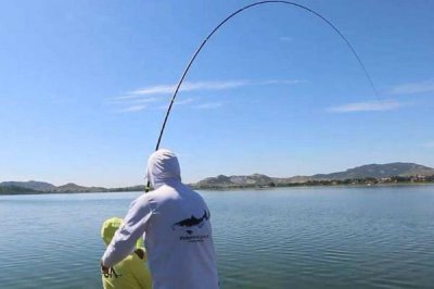 新手怎么釣魚，晴朗天氣更適合外出作釣