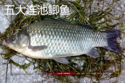 黑龍江五大連池市的特產(chǎn)，連池鴨蛋適合饋贈(zèng)親友