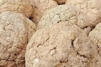 豆腐渣如何快速做肥料，發(fā)酵時間要根據(jù)溫度來判斷