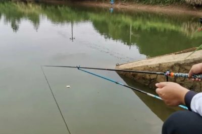 七星鉤釣白條魚如何快速上魚，在釣點處拋投線組可吸引大量魚兒