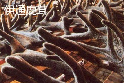 吉林省伊通滿族自治縣的特產(chǎn)，伊通大米在國內(nèi)具有較高的知名度