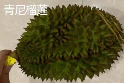 榴蓮如何防止氧化，可放入冰箱冷凍保存