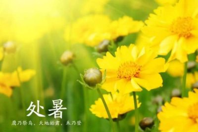 處暑節(jié)氣的含義，意味著進(jìn)入氣象意義的秋天