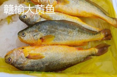 江蘇連云港的特產(chǎn)，紫菜為當(dāng)?shù)刂饕隹诋a(chǎn)品之一