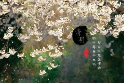 清明節(jié)有哪些風(fēng)俗，各地風(fēng)俗不一樣