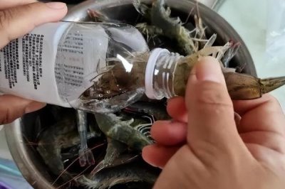 鮮蝦的保存方法，可使用塑料瓶、保鮮盒、保鮮袋進(jìn)行保存