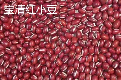 黑龍江的特產(chǎn)，是“大馬哈魚之鄉(xiāng)”