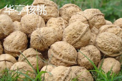 甘肅省民樂縣的特產(chǎn)，產(chǎn)出的蘋果梨具有中國一代梨王的美譽(yù)