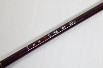 一套釣魚的海竿要多少錢，具體價格因品牌而異