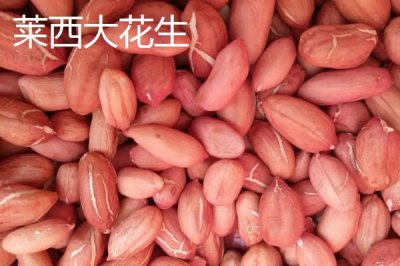 山東萊西的特產(chǎn)，是國務(wù)院確定的沿海地區(qū)對外開放縣市之一