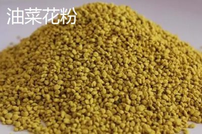 蜂花粉的種類，粉源均來自不同花卉