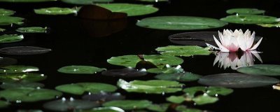 處暑節(jié)氣的處的意思，可以理解為終結(jié)