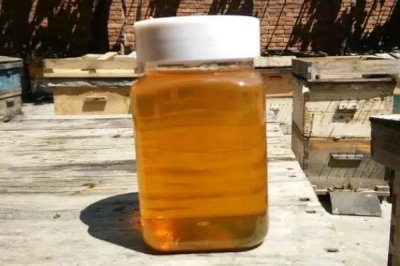 天然荊條蜜的價格，一斤通常超過40元