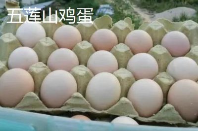 我國(guó)雞蛋產(chǎn)地，主要集中在華東、華北以及東北等地區(qū)