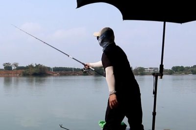 假紅蟲能不能釣魚，能釣魚但是效果不大好