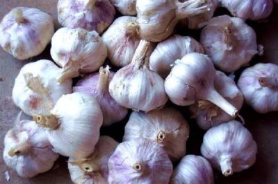 新疆伊寧市的農(nóng)特土產(chǎn)品，有馬鈴薯、薰衣草精油等