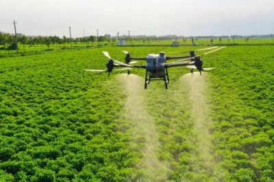 礦源黃腐酸鉀的用量，與作物種類、所處時(shí)期、施肥方式等條件有關(guān)