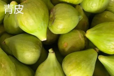 無(wú)花果的產(chǎn)地，在國(guó)內(nèi)主產(chǎn)于山東、江蘇、廣東、陜西等省份