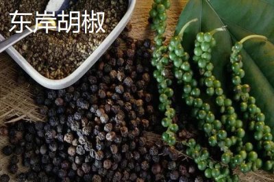 廣東省高州市的特產(chǎn)，儲(chǔ)良龍眼是著名優(yōu)良品種