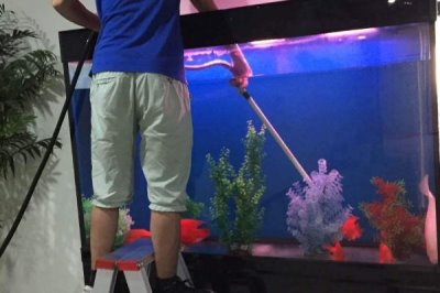 給魚缸換水的正確方法，根據(jù)情況選擇部分換水或全部換水