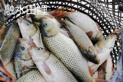 柳州市融水苗族自治縣的特產(chǎn)，包括融水糯米柚、融水香鴨、融水靈芝等種類