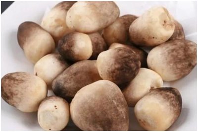 草菇的價(jià)格，野生和人工栽培的價(jià)格不同