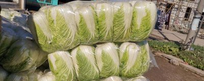 白菜的價格，不同地區(qū)的價格有所差異