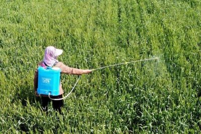 氟硅唑可防治什么病，針對梨黑星病、蘋果輪紋爛果病等效果好