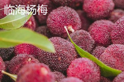 浙江臺州的特產(chǎn)，包括仙居番薯干、天臺山蜜橘、重陽糕等種類