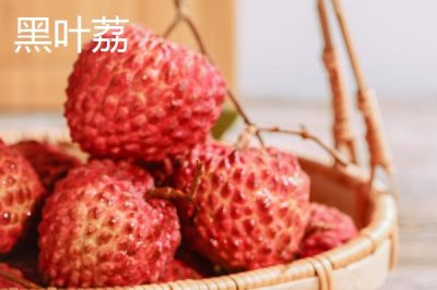 靈山荔枝品種，三月紅的成熟時(shí)間最早