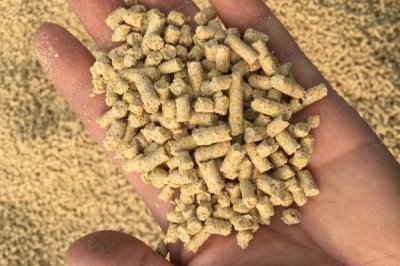 雛雞的飼料價(jià)格，通常在2500左右一噸