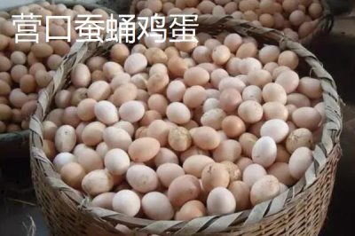 我國(guó)雞蛋產(chǎn)地，主要集中在華東、華北以及東北等地區(qū)